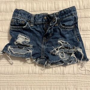 Custom Distressed Shorts